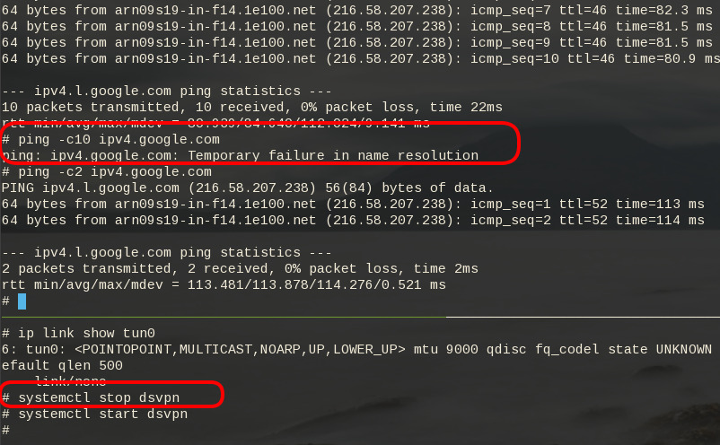 dsvpn_ping.png